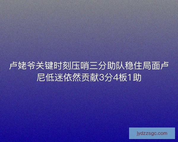 卢姥爷关键时刻压哨三分助队稳住局面卢尼低迷依然贡献3分4板1助