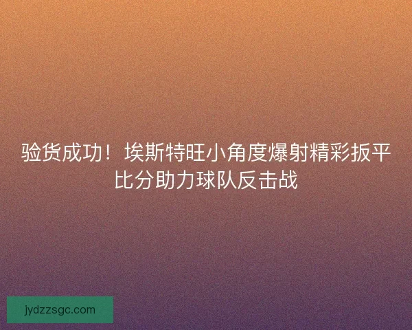 验货成功！埃斯特旺小角度爆射精彩扳平比分助力球队反击战