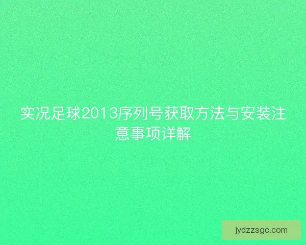 实况足球2013序列号获取方法与安装注意事项详解