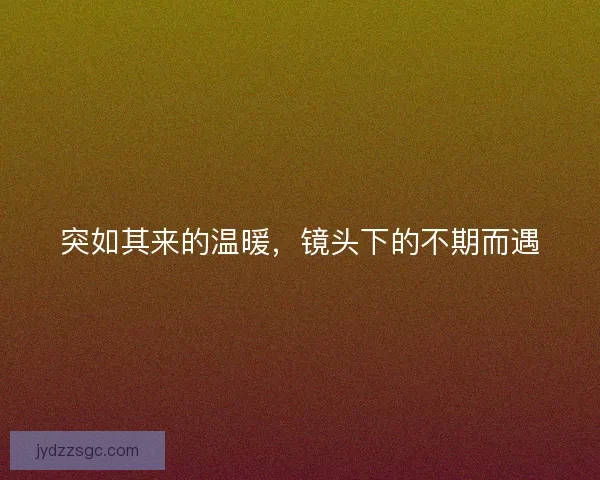 突如其来的温暖，镜头下的不期而遇
