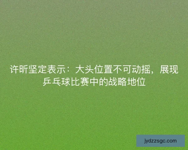 许昕坚定表示：大头位置不可动摇，展现乒乓球比赛中的战略地位